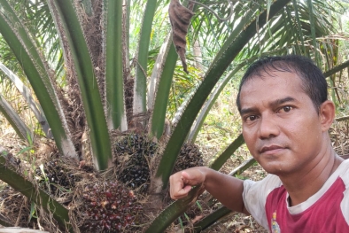 Ini Siasat Nur Sahid agar Dapat Harga TBS yang Tertinggi