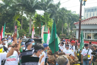 Petani Sawit Geruduk Kantor Menko Perekonomian