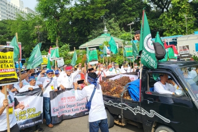 Apkasindo Demo, Aspek-PIR Bilang Begini