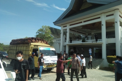 Parkirkan Truk Berisikan Sawit, Petani Gelar Aksi di Kantor Bupati Siak