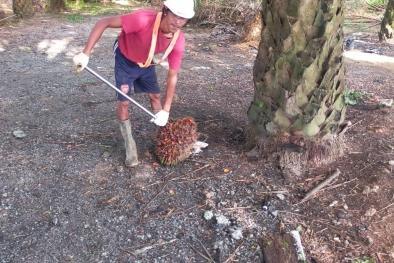 Tak Ikut Demo, Tapi Petani ini Punya Aspirasi yang Sama