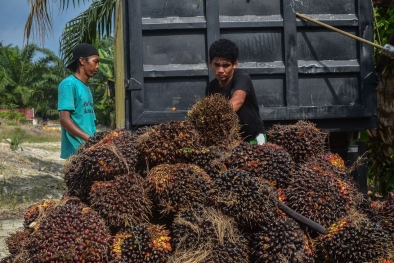 Di Bengkulu Tengah, Masih Banyak Pabrik Acuhkan Pemprov