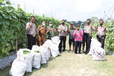 Pengguna Jalan dan Tukang Becak Kecipratan Hasil Panen Kampung Tangguh