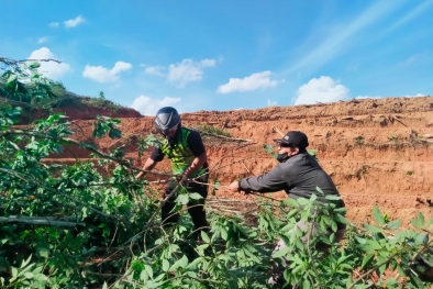 Belum Perbarui AMDAL, Perusahaan ini Tebangi Karet Mau Diganti Sawit