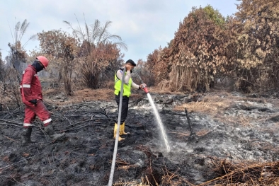 Api yang Menghanguskan Lahan Sawit Berhasil Dipadamkan