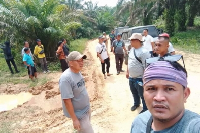 Kebun Plasma Kurang Terawat, Perusahaan ini Diadukan Petani