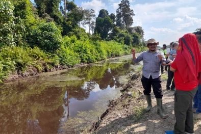 Berkebun di Lahan Gambut, Begini Cara Perusahaan Cegah Karhutla