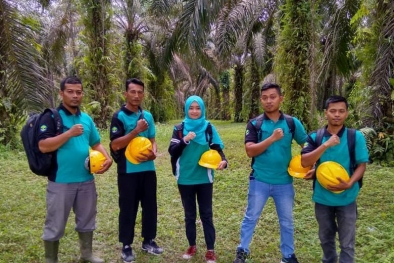 APBML Terus Perluas Kebun yang Tersertifikasi RSPO