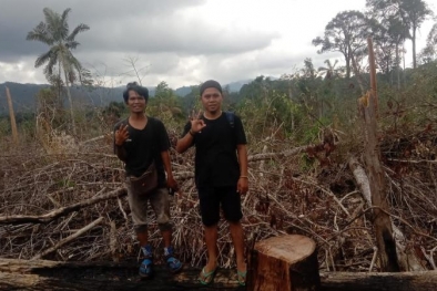 Wow, Lahan di Taman Nasional Dijual Rp 4 Juta per Hektare