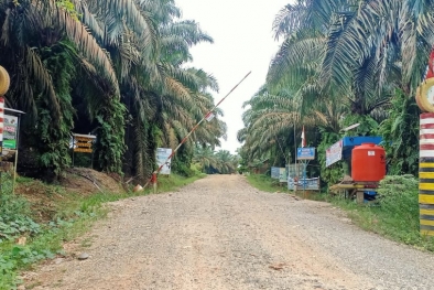 Perusahaan ini Dilaporkan Karena Serobot Hutan Desa