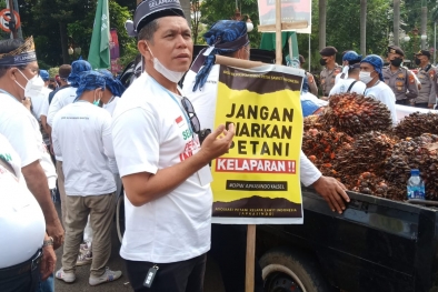 Petani Swadaya Merasa Sedang Dibunuh Perlahan-lahan