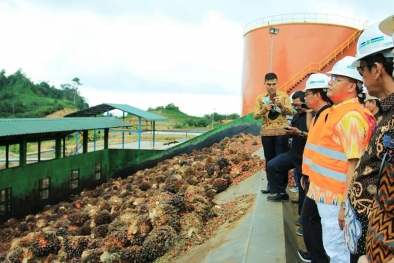 Mitra Resah, Perusahaan Sawit Dipanggil Terkait Isu Take Over