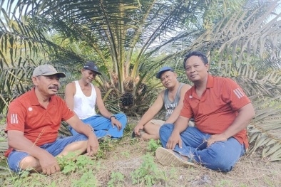 Sawit Cuma Dihargai Rp700/Kg, Petani: Pemda Jangan Diam Saja, Cari Solusi Lah