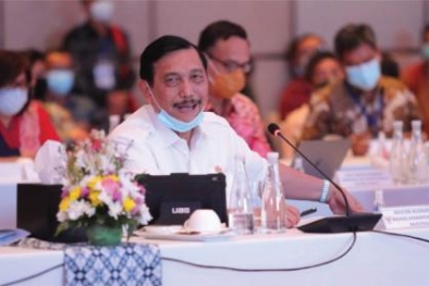 Luhut Tuding Langkah Ukraina Ikut Tekan Harga Sawit