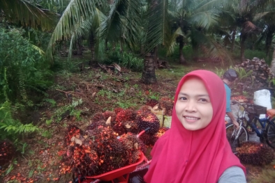 Harga Sawit Bikin Dara Cantik di Riau ini Risau