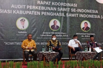 Industri Sawit Diaudit, Bupati Diingatkan Jangan Terima Duit