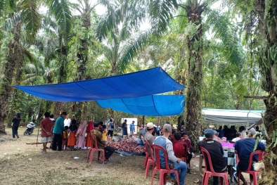 Sudahlah Harga Murah, Pengepul Tutup Pula, Lengkaplah Penderitaan Petani