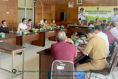 Tim Penetapan Harga TBS Lampung Sudah Menggelar Rapat, ini Hasilnya