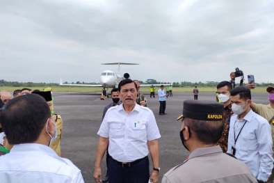 Jokowi Izinkan Luhut Buka Keran Ekspor CPO Besar-besaran