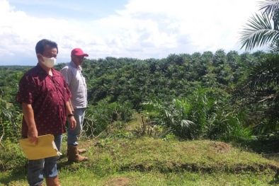 Duduki Kebun Sawit Perusahaan, 5 Warga Jadi Tersangka