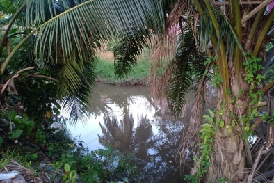 Limbah PKS Diduga Cemari Sungai, Belum Pernah Kena Sanksi