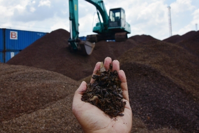 Jepang Butuh Cangkang Sawit, Indonesia Punya!