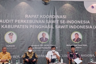 Percuma Audit, Jika Penindakannya Lunak