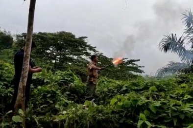 Setelah Perangkap Dibongkar, Harimau Muncul Lagi di Perkebunan