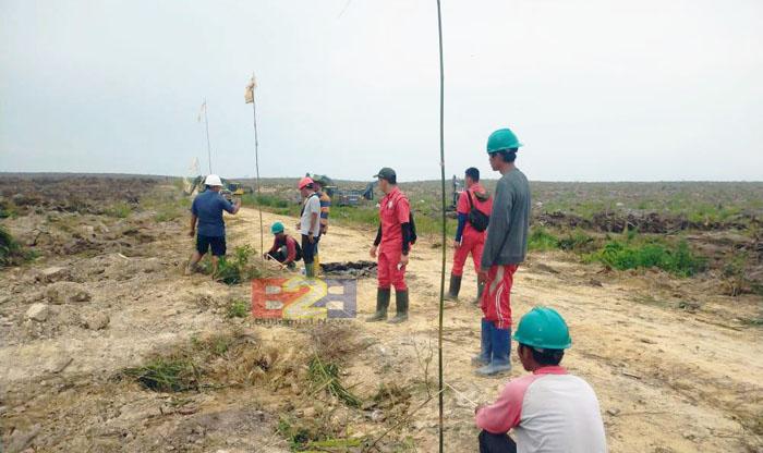 Belajar Replanting Sesuai SOP Planter hingga ke Rokan Hilir