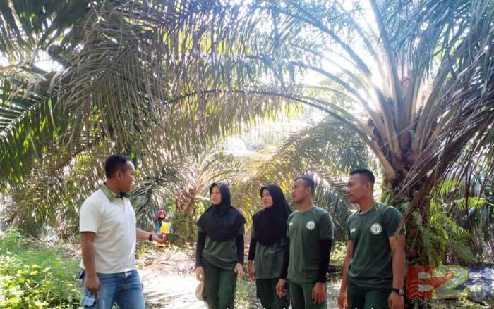 DuDi Digaet untuk Tingkatkan Mutu Calon Planter