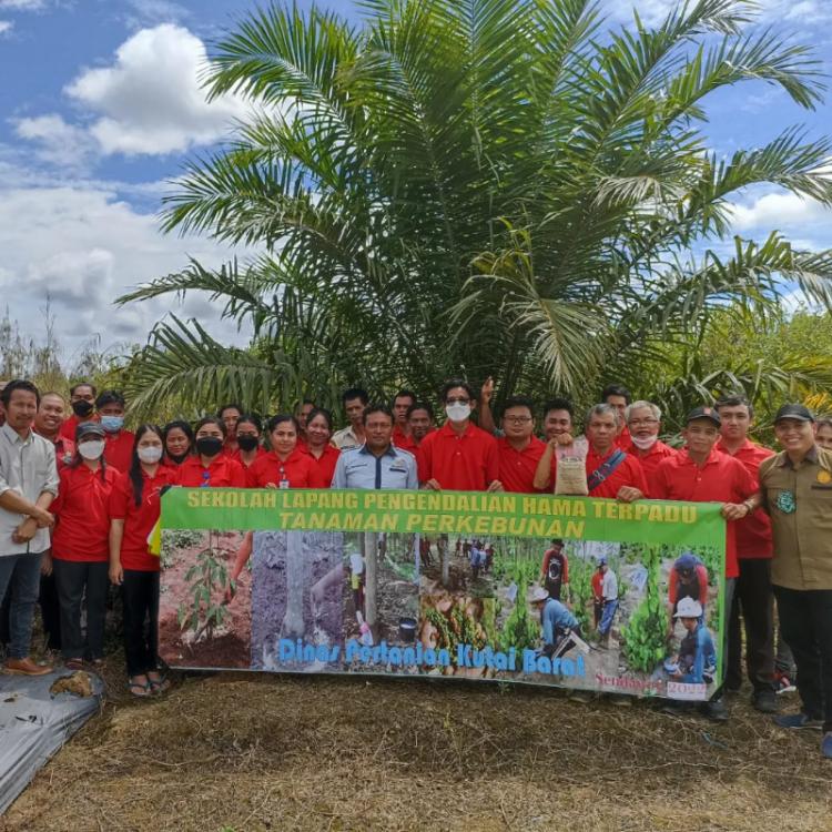 Tingkatkan Kualitas Produksi, Puluhan Petani Dilatih Kendalikan Hama