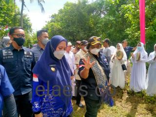 Perambahan Kawasan Hutan Masih Terjadi, Begini Komentar Menteri LHK