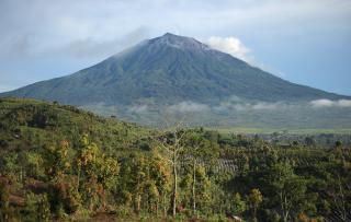 55,89 Persen Bentang Alam Seblat Jadi Kebun Sawit