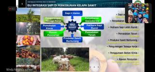 Integrasi Sawit-Sapi Bisa Hindari Konflik Perusahaan dengan Masyarakat 