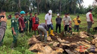 Agar Tak Cuma Bisa Teori, Calon Planter Ikuti Kegiatan ini