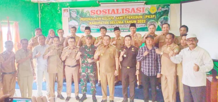 Kendala Bibit Sawit Berkualitas Teratasi Lewat Program Replanting