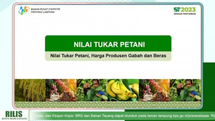 NTP Naik, Pendapatan di Subsektor Perkebunan Rakyat Berpengaruh Besar