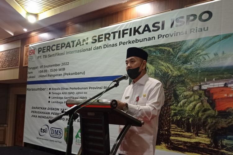 Realisasi Baru 30 Persen, Dibutuhkan Percepatan Sertifikasi ISPO