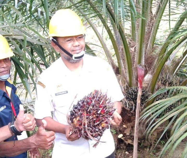 Laju PSR di Sanggau Fantastis, Ini Buktinya...