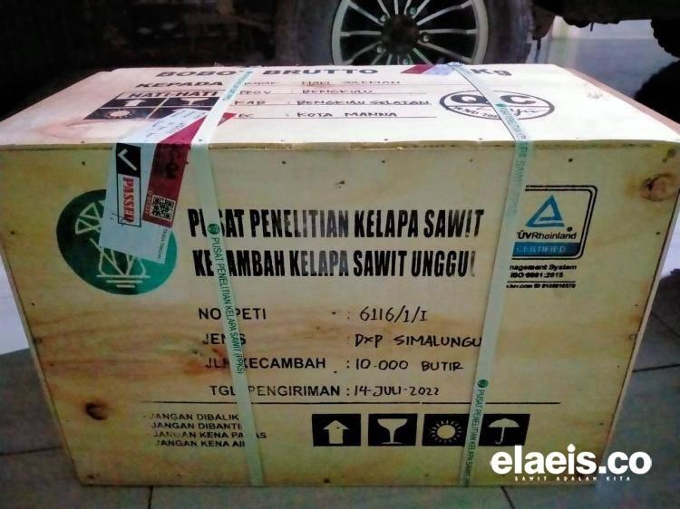 Benih Simalungun Favorit Petani Bengkulu 