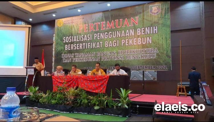 Gunakan Bibit Sawit Bersertifikat, Petani Bakal Sejahtera!