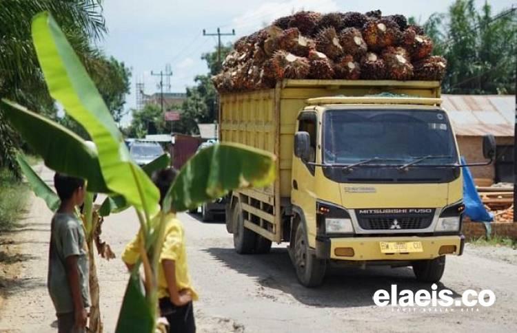 Pertamina Larang Angkutan Sawit Gunakan BBM Subsidi