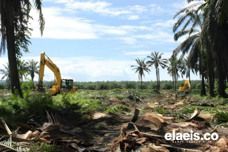 Petani Kaltim Inginkan Addendum PSR