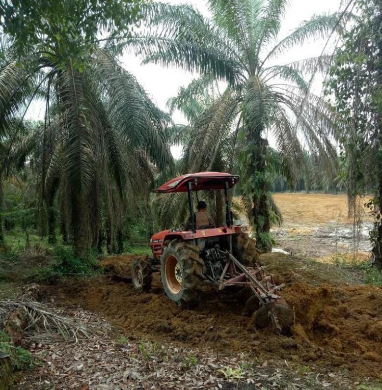 PSR di Bungo Baru Berjalan 700 Hektare 