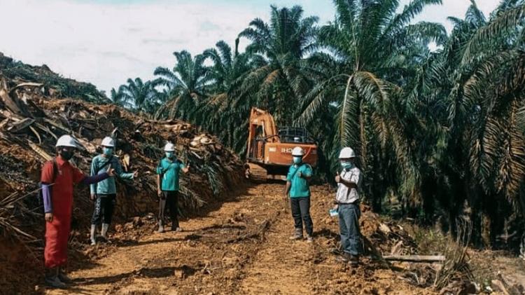 Kebun Sawit Di Kawasan Hutan Tak Akan Bisa Dapat Hibah - Elaeis.co