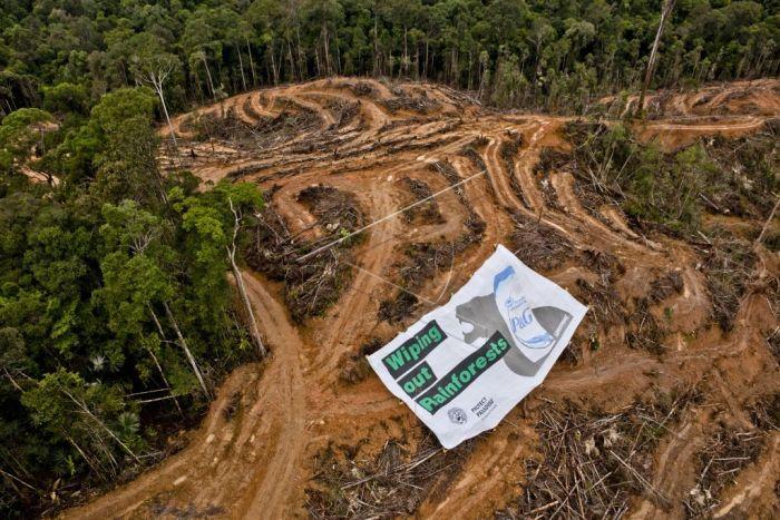 Kota Penyangga IKN ini Disiapkan Jadi Pusat Industri Pengolahan