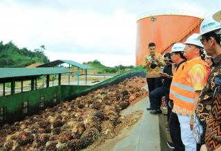 Harga CPO Membaik, Tak Ada Alasan PKS Beli Murah TBS Petani