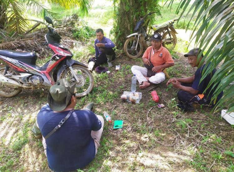 Petani Masih Berharap Satgas Sawit Segera Dibentuk