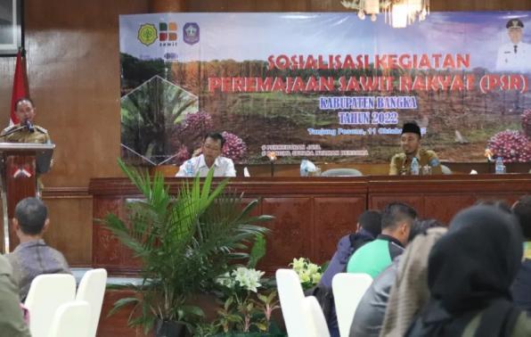 Gantikan Lada, Kelapa Sawit Jadi Komoditas Andalan di Daerah ini