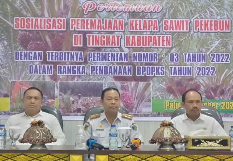 Hutan Lindung Jadi Penghambat PSR di Daerah ini